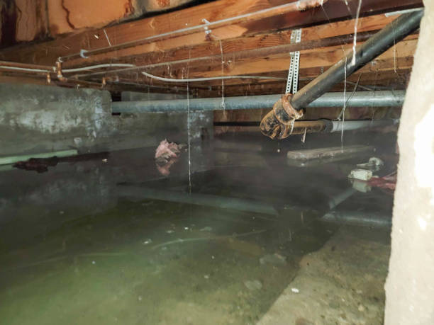 Best Carpet water damage restoration  in Marietta, GA