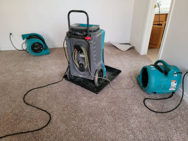 Best Flood restoration services  in Marietta, GA