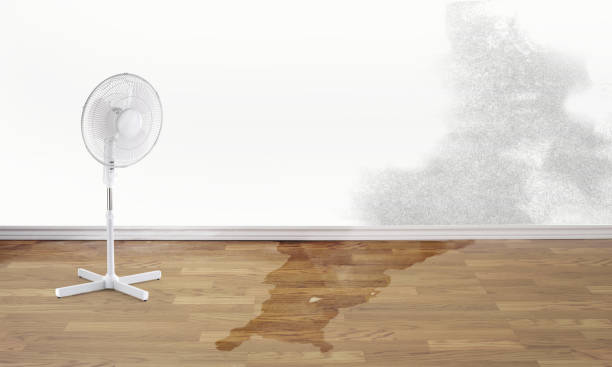 Professional Water damage restoration in Marietta, GA