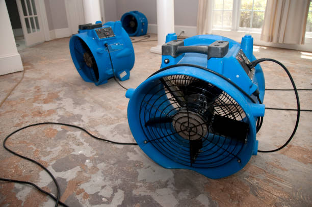 Best Flood damage cleanup  in Marietta, GA