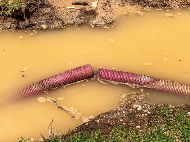 Best Water damage mitigation services  in Marietta, GA